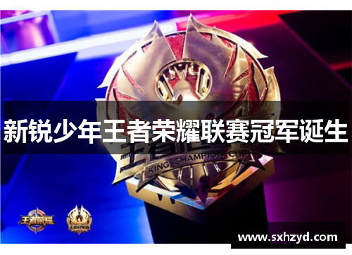 新锐少年王者荣耀联赛冠军诞生