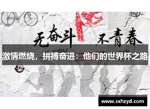激情燃烧，拼搏奋进：他们的世界杯之路