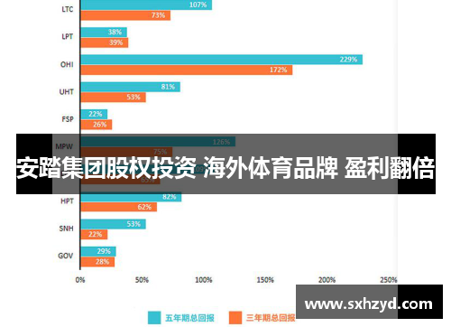 安踏集团股权投资 海外体育品牌 盈利翻倍